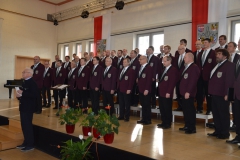 Leistungssingen 2016 – Bild 7