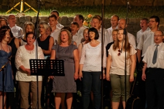 Serenade 2015 – Bild 42